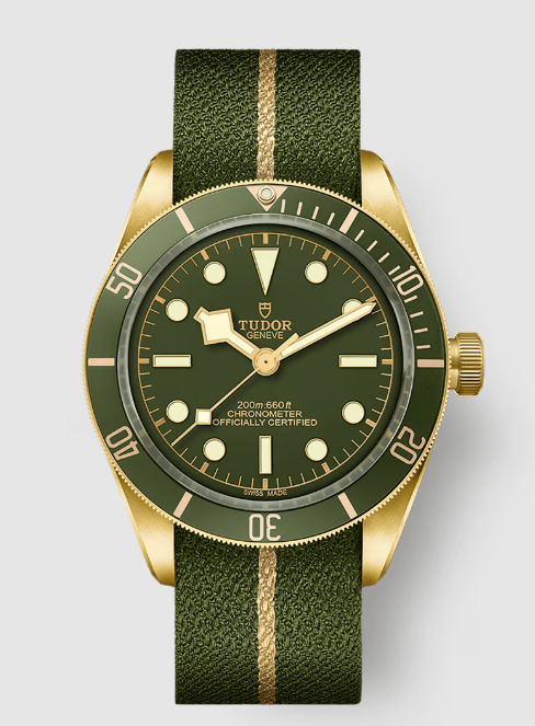 Replica Tudor Black Bay 58 Watch M79018V-0001